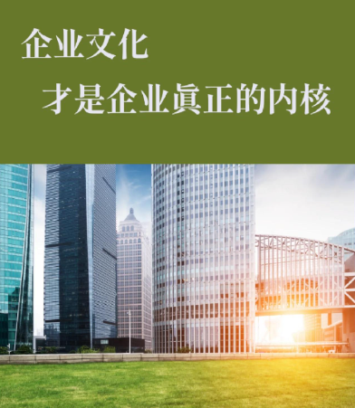 企业门户资讯站搭建方案：上海必定戈网络科技全流程服务解读