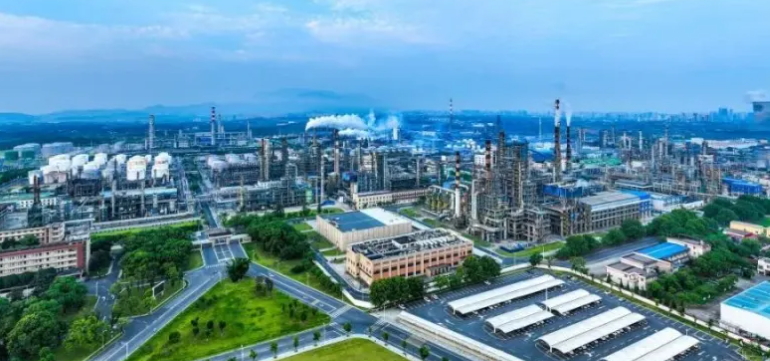 2025年网站SEO算法更新趋势与关键词排名策略调整方向